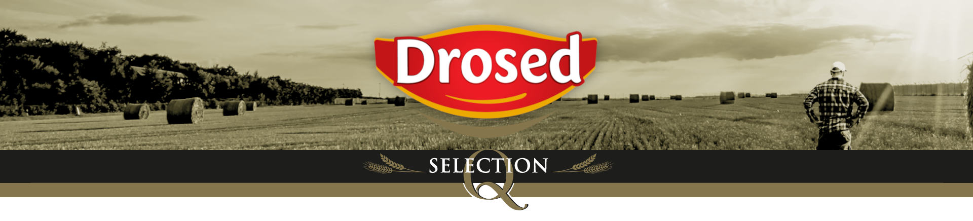 Drosed logo