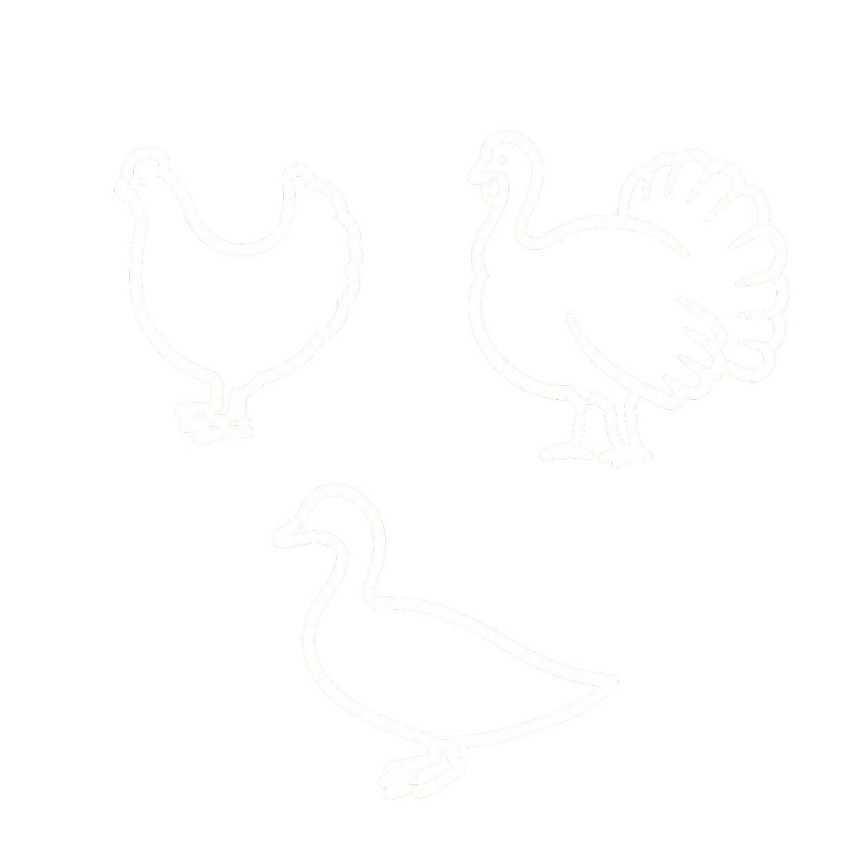 3 gatunki drobiu